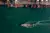 Containers Ship Floating Sea Shipping Port International Import Export Cargo Logistics