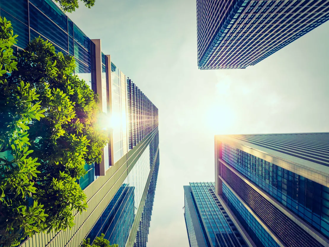 Beautiful Skyscraper With Architecture Building Around City (1)