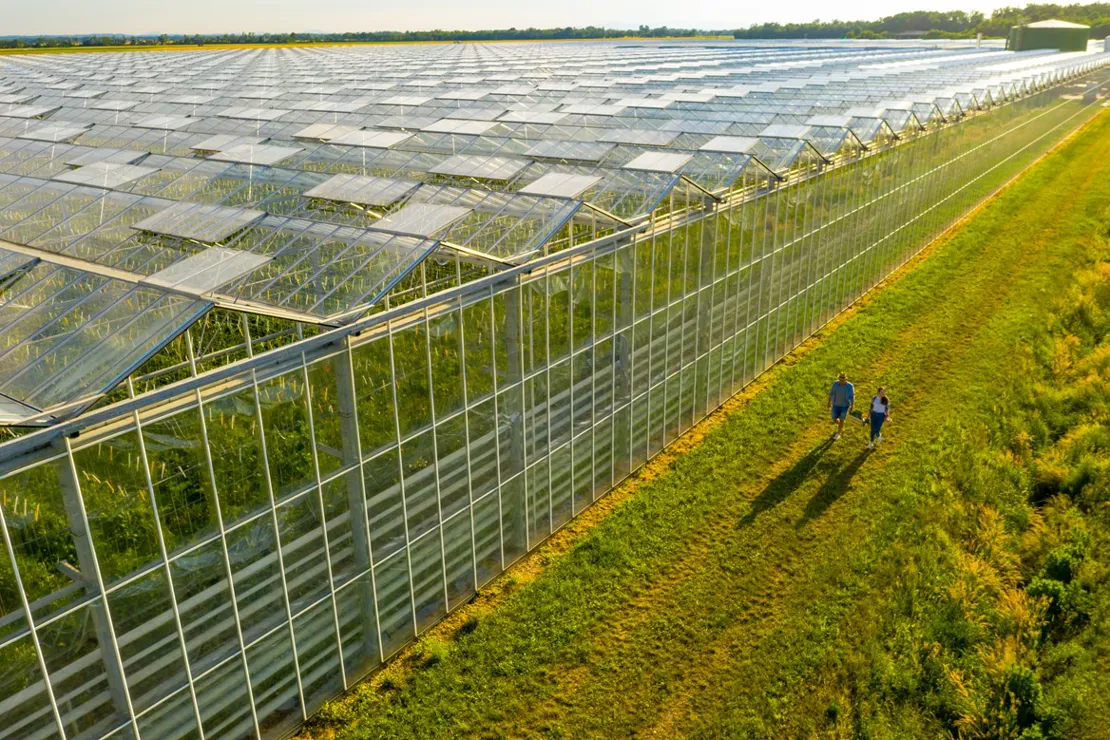 Novuna funding sustainable agriculture at farm